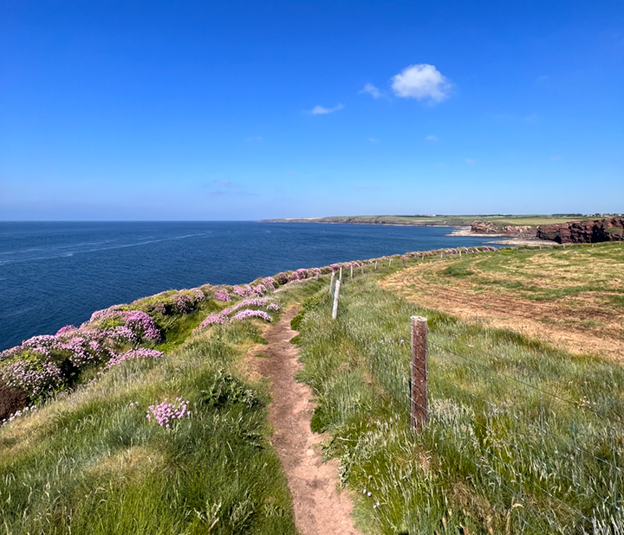 Dunmore East Coastal Walks 